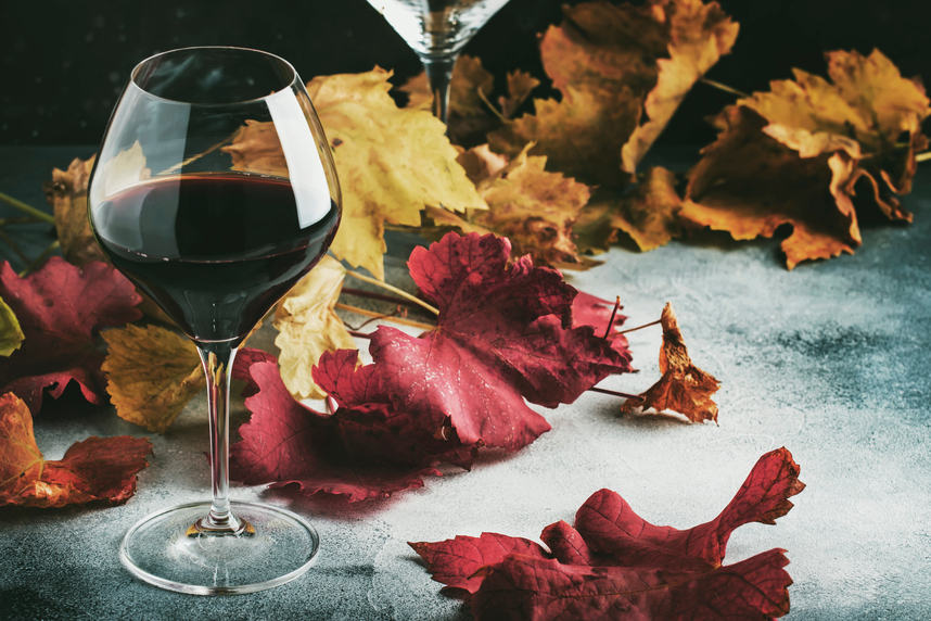 Herfstwijnen: kenmerken en hoe te kiezen