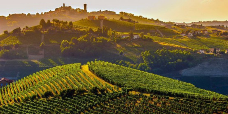 Langhe, Roero en Monferrato: een september onderweg Langhe, Roero en Monferrato: een september onderweg